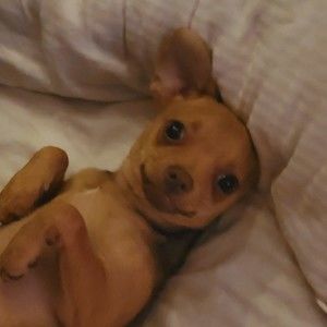 Meet your Posher, Danielle